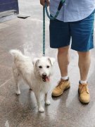 <b>还能提高幸福感</b>